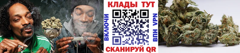  COCAIN Домодедово