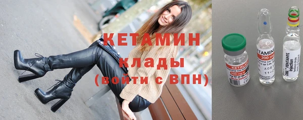 хмурый Гусь-Хрустальный