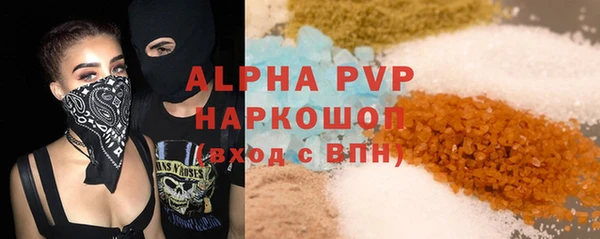 хмурый Гусь-Хрустальный