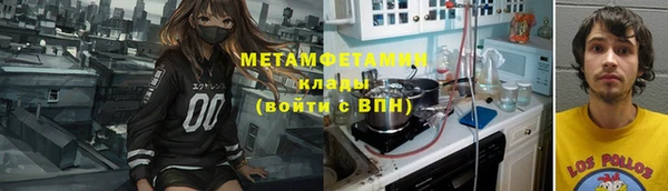 мдпв Гусев
