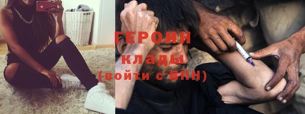 мдпв Гусев