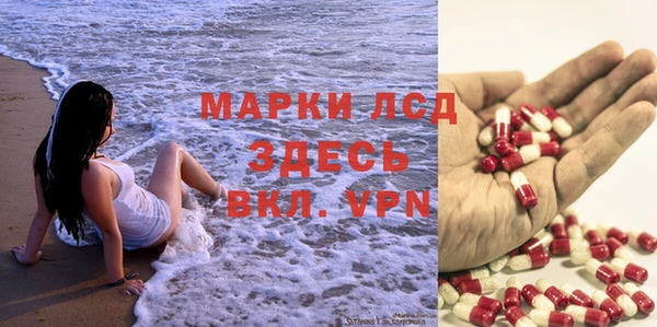 хмурый Гусь-Хрустальный