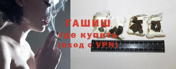 мдпв Гусев
