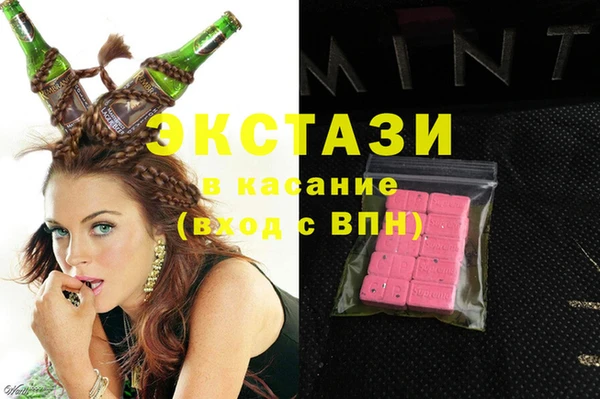 мдпв Гусев