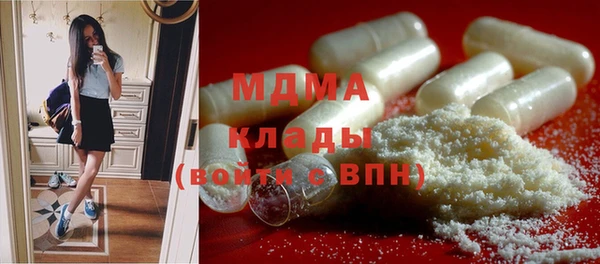 мдпв Гусев